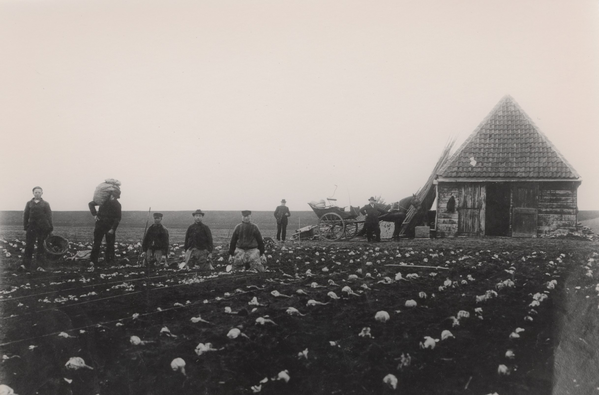 Sluis & Groot, in de polder